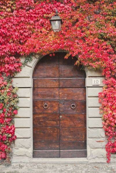 Old Fashion Door Photography Art | W.V.L. Photograph