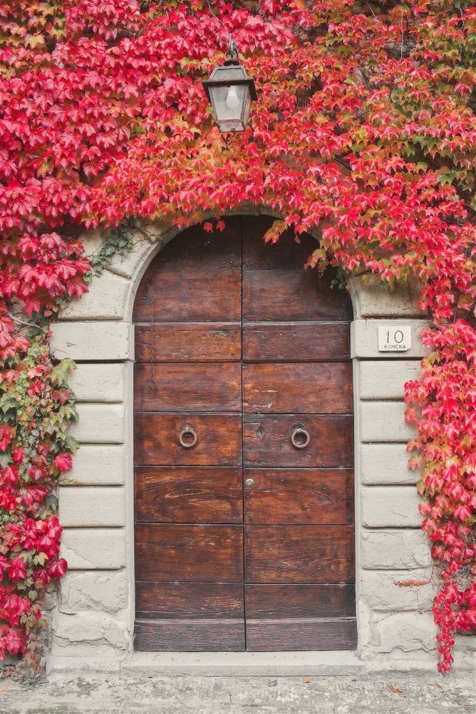 Old Fashion Door Photography Art | W.V.L. Photograph