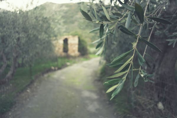 Mediterranean Place Photography Art | W.V.L. Photograph
