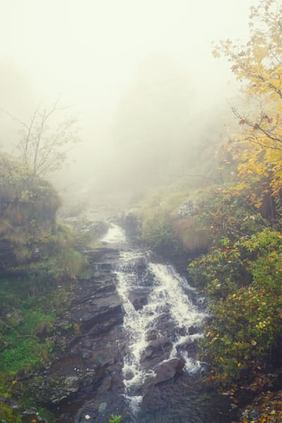 Into The Myst Photography Art | W.V.L. Photograph