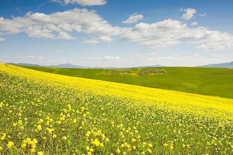 Mdawmdawmdawmdaw7qgraepd6cacehr zcfbfywxu2fyveayeunrgwctqqqltnerwweter6yomfiojy24adow ljj7f22f2vd2s3k0fn 38ezqodftc2xeuhdjufahdziomokxodj3hs jg da6ji5eudq olwagpj5emn5ddnkheuzcee darfi s3paidyof8gqd5wvf6mq 4emmmui7vdwkww9kwvskevmsdshfosieuiruwc rvgfqexsypttcmeh78hyomghxrs153bu9hiqnmf8wurzmcux4diofxo5kix8etigoax72c