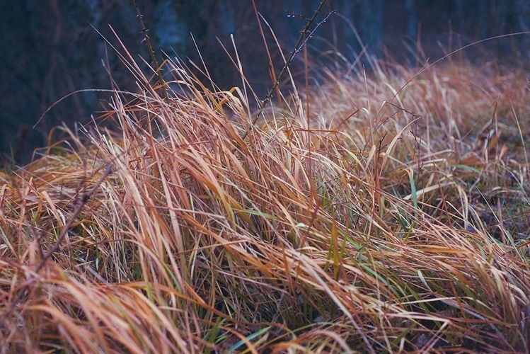 Mdawmdawmdawmdaw7qgraepd6cacehr zcfbfywxu2fyveayeunrgwctqqqltnerwweter6yomfiojy24adow ljj7f22f2vd2s3k0fn 38ezqodftc2xeuhdjufahdziomokxodj3hs jg da6ji5eudq olwagpj5emn5ryhseyuz3clbyfh0su5kpqna1l chqmuifac8wp1egnin2v8qxfmw7r msabgwghaypuwcbyyskxasap9epc qdlyxslp3 rylcataxr6z8wcqdkeub6ak81cihckdstnj67gqeq5fg