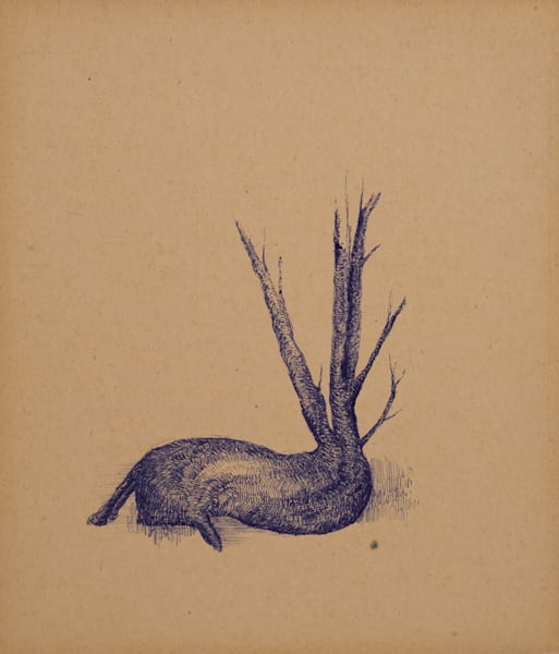Metamorph Nature 1 Art | Blue Hour Drawings