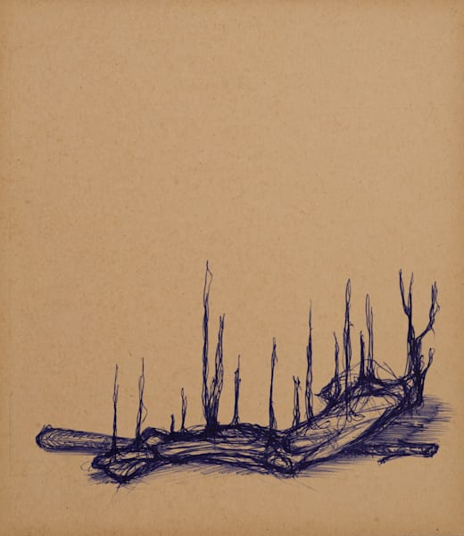 Metamorph Nature 2 Art | Blue Hour Drawings