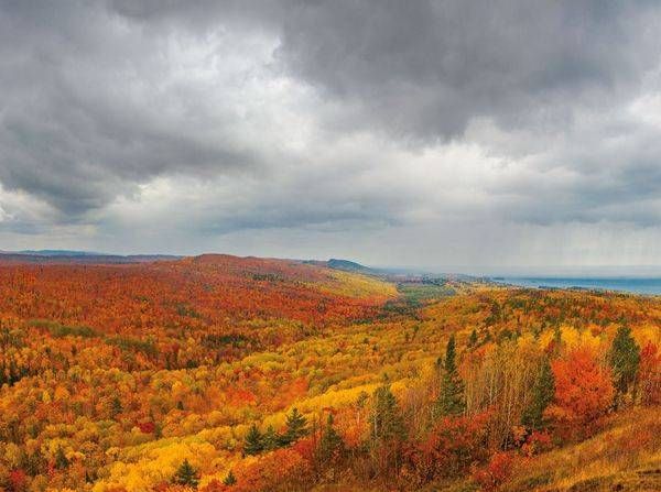 Aaa075  Brockway Mountain Wildlife Sanctuary Art | Blacklock Gallery