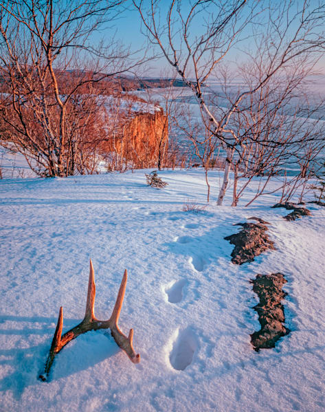 Aaj093 Deer Antler And Tracks, Palisade Head, Tettegouche State Park, Minnesota. Art | Blacklock Gallery