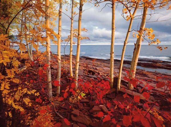 Lsi001 Union Bay, Porcupine Mountains State Park, Michigan 1991. Art | Blacklock Gallery
