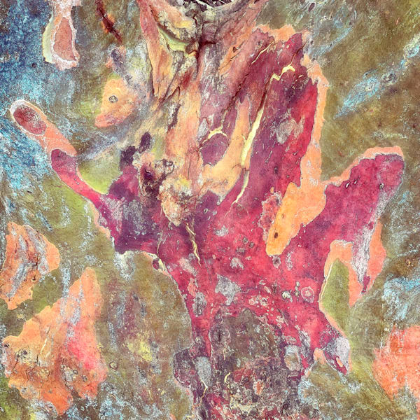 Abstract