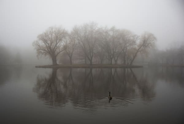 Goose Isle In Fog Photography Art | Den Pictures