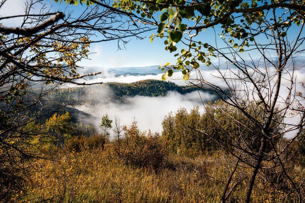 Vanishing Photography Art | Tsvetina Photography