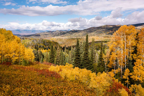 Spectrum of Solitude