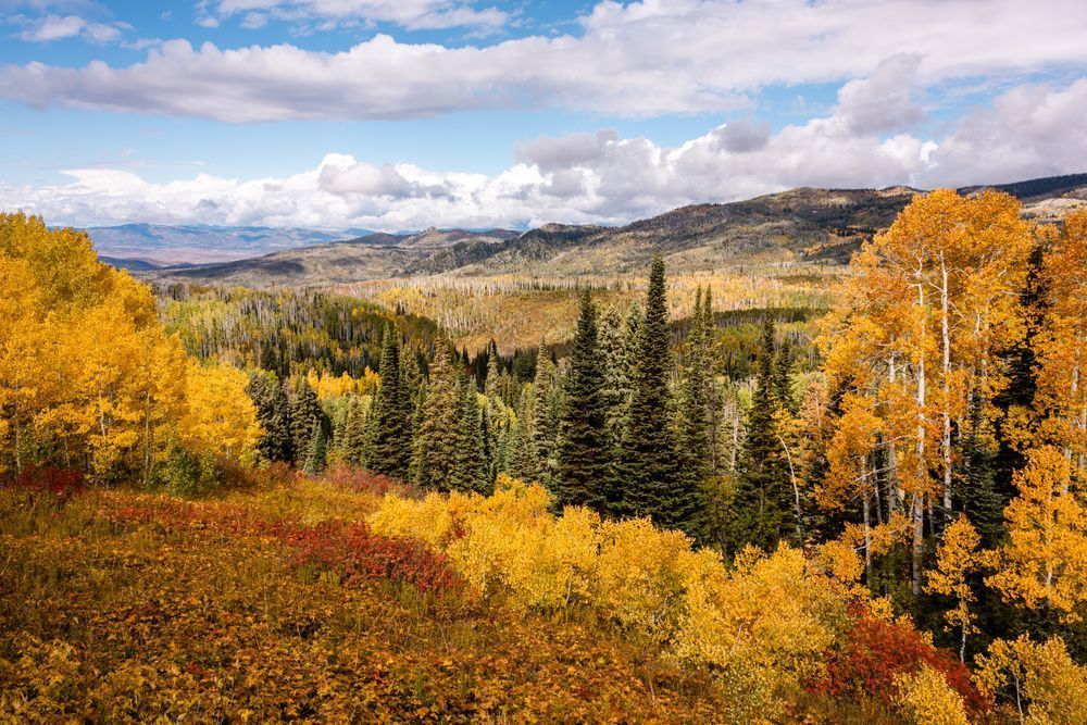 Spectrum Of Solitude Photography Art | Tsvetina Photography