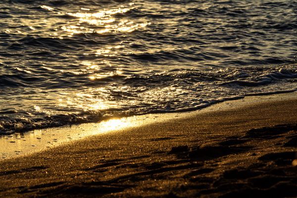 Wander Through Nature