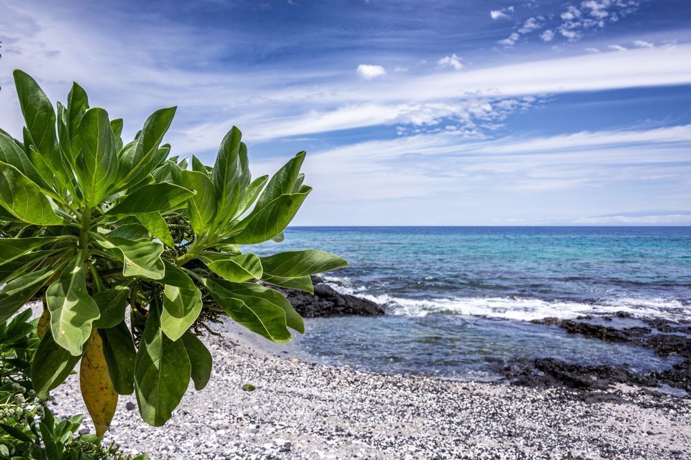 Possibilities Photography Art | Tsvetina Photography