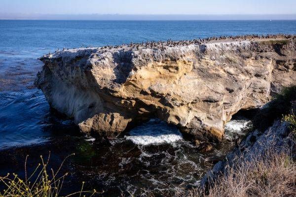 Cliffside Chorus