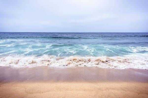 Soft Horizons