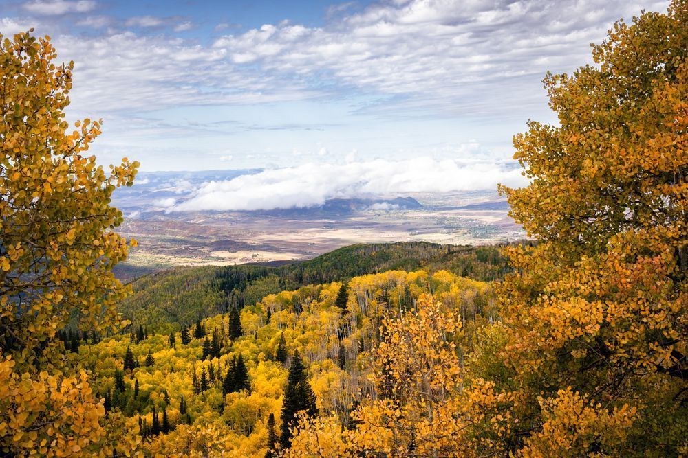 On The Horizon Photography Art | Tsvetina Photography