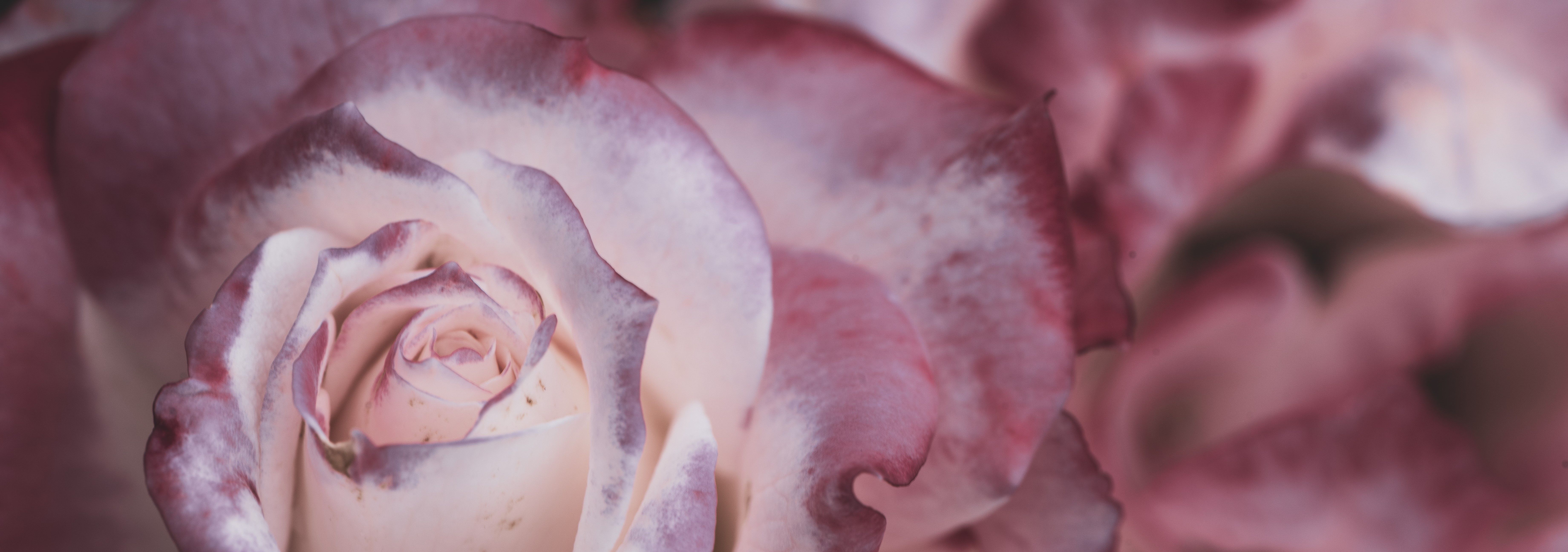 
        <div class='title'>
          Imperfectly Perfect (1)
        </div>
       