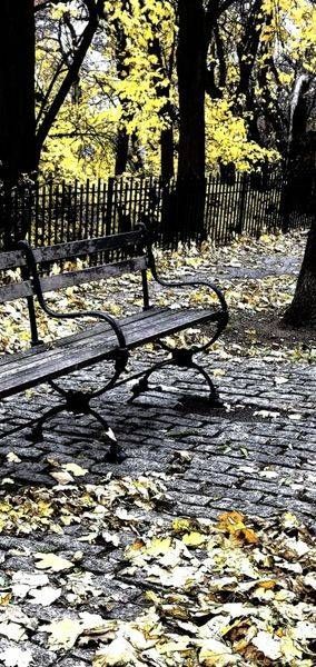 Yellow Tree And Bench Art | Main Frame Arts, LLC