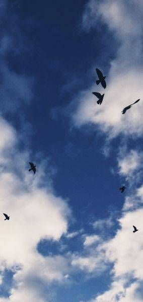 As They Soar Art | Main Frame Arts, LLC