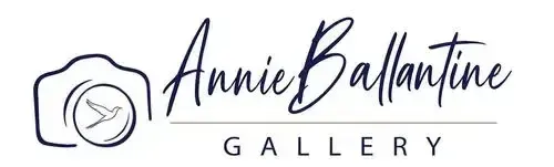 Annie Ballantine Gallery