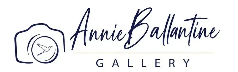 Annie Ballantine Gallery