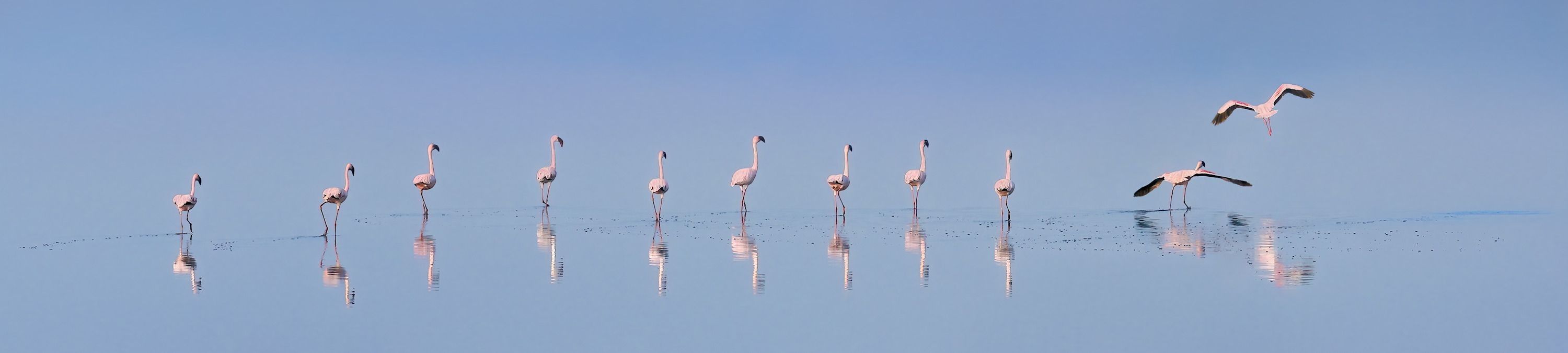 
        <div class='title'>
          Awaiting Takeoff
        </div>
       