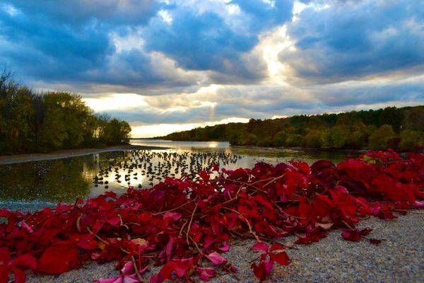 Lakeside Autumn Sunset Photography Art | ParkerNorth Photography