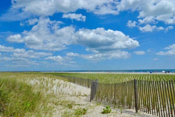 Dunes Restoration Photography Art | ParkerNorth Photography
