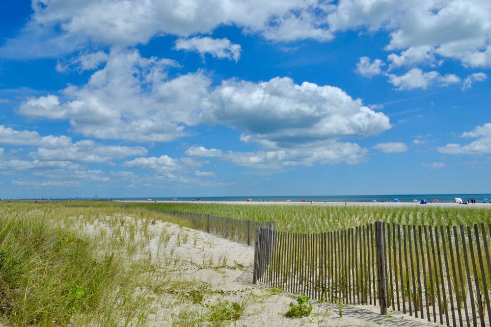 Dunes Restoration Photography Art | ParkerNorth Photography