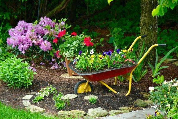 Garden Blooms