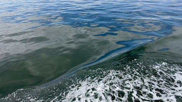 Alaska Blue Green Ocean Waves Photography Art | ParkerNorth Photography