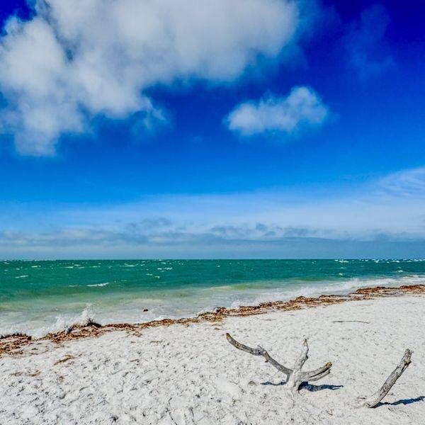 Seaside Driftwood Photography Art | ParkerNorth Photography