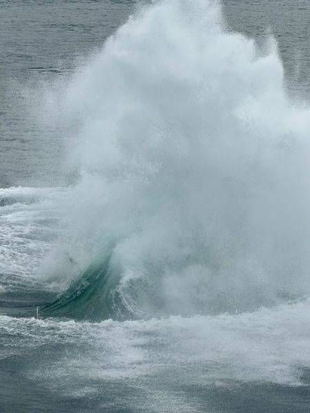 The Humpback Whale Finale Photography Art | ParkerNorth Photography