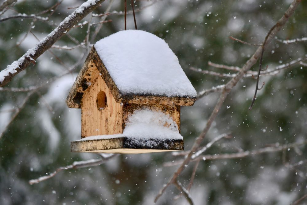 Snow Covered Birdhouse Photography Art | ParkerNorth Photography