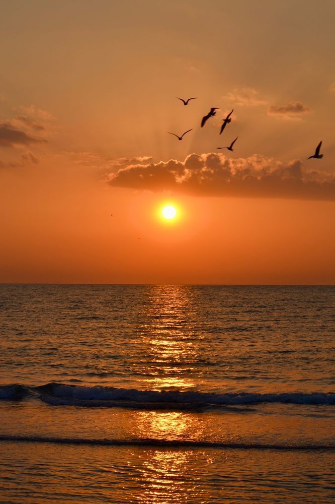 Coastal Sunset   Amber Horizon In Clearwater Beach, Florida Photography Art | ParkerNorth Photography