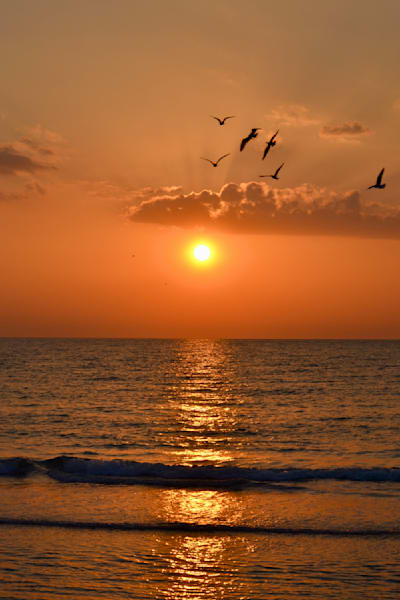 Coastal Sunset   Amber Horizon In Clearwater Beach, Florida Photography Art | ParkerNorth Photography
