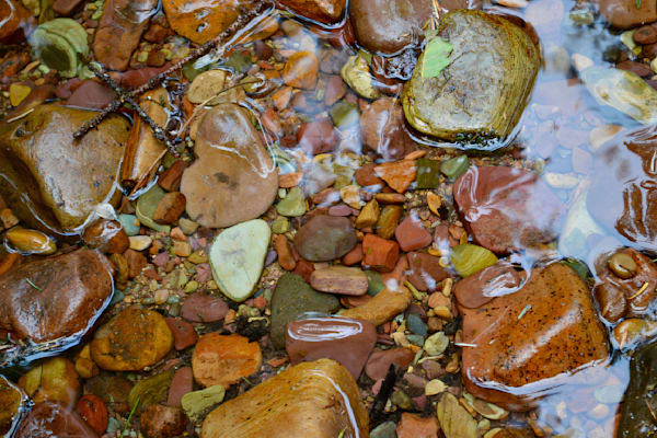 Creekbed Mosaic Photography Art | ParkerNorth Photography