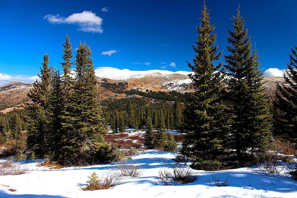 Vale Colorado Photography Art | Cynthia Lynn Studio