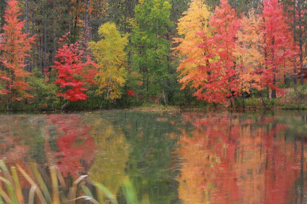 Reflections Photography Art | Cynthia Lynn Studio