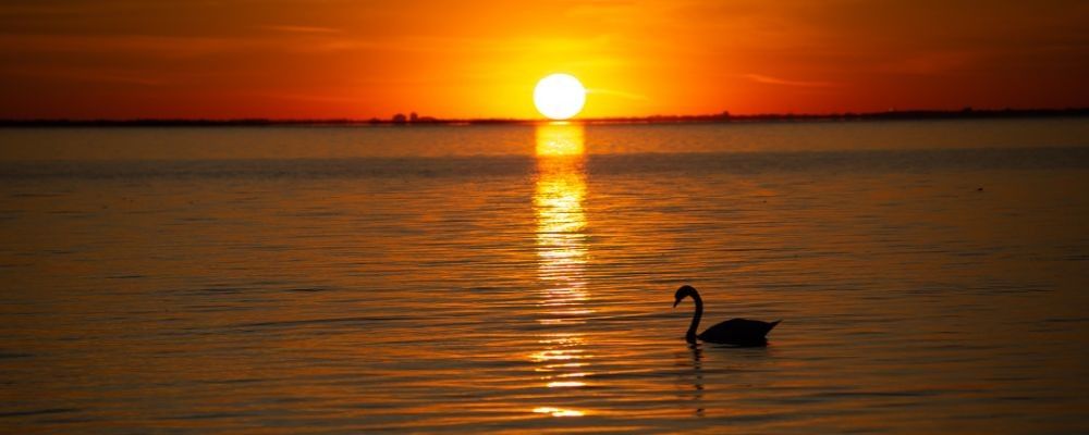 
        <div class='title'>
          Copy of Untitled Design
        </div>
       