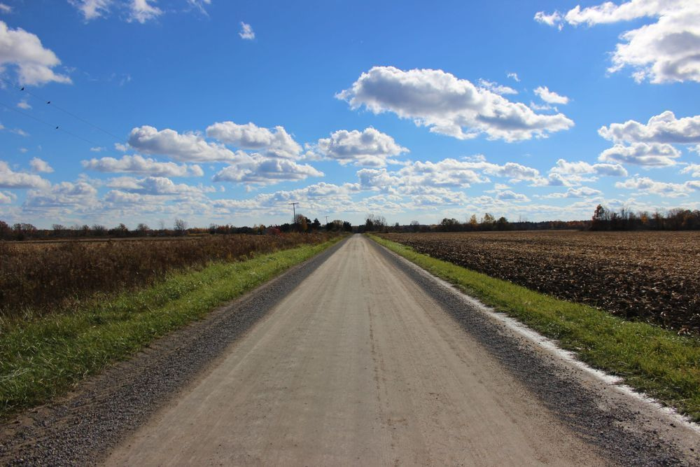 The Dirt Road Photography Art | Cynthia Lynn Studio
