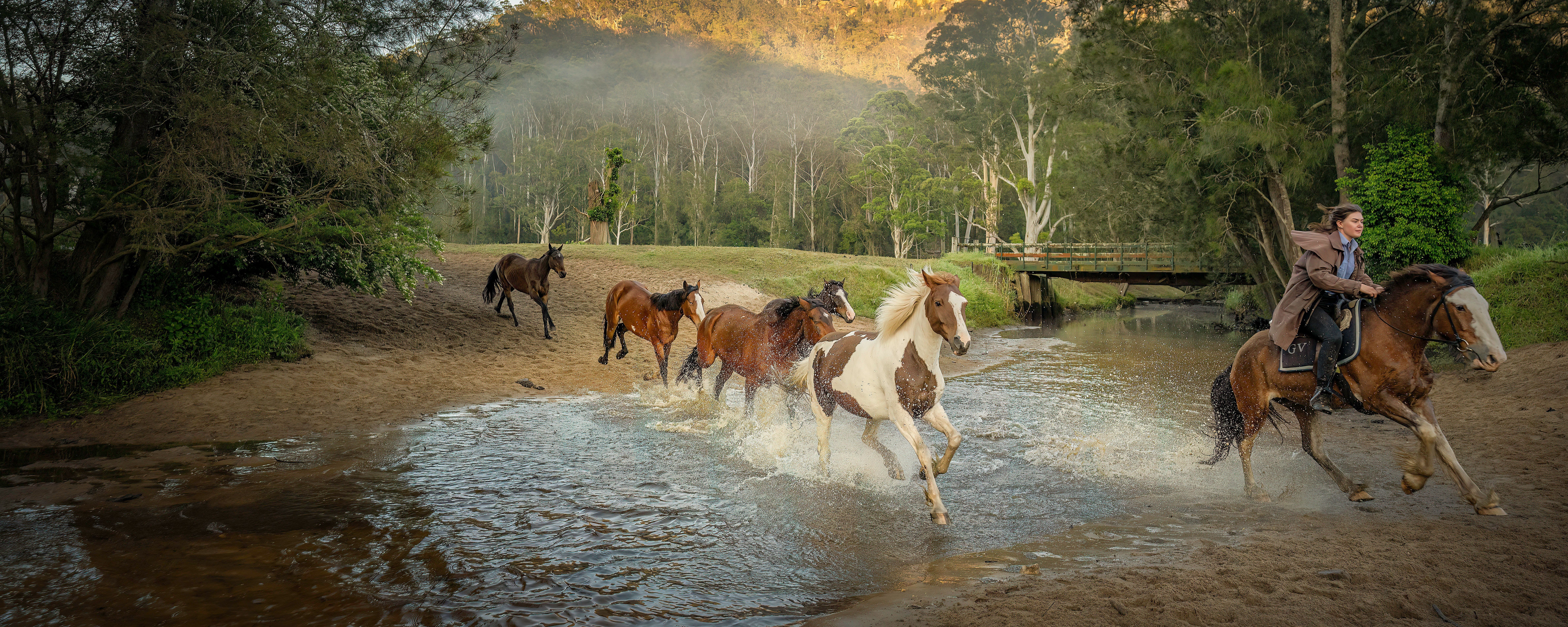 
        <div class='title'>
          B SLIDER Glenworth Valley Running of the horses
        </div>
       