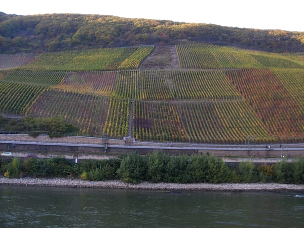 Wine Vineyard Mousel Germany Photography Art | CESSNA