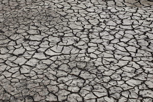 Shasta Lake Dry Photography Art | CESSNA