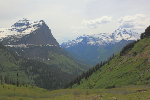 From The Stop Photography Art | CESSNA