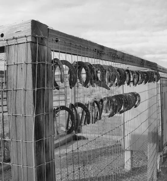 Horseshoes At Renee S Photography Art | CESSNA