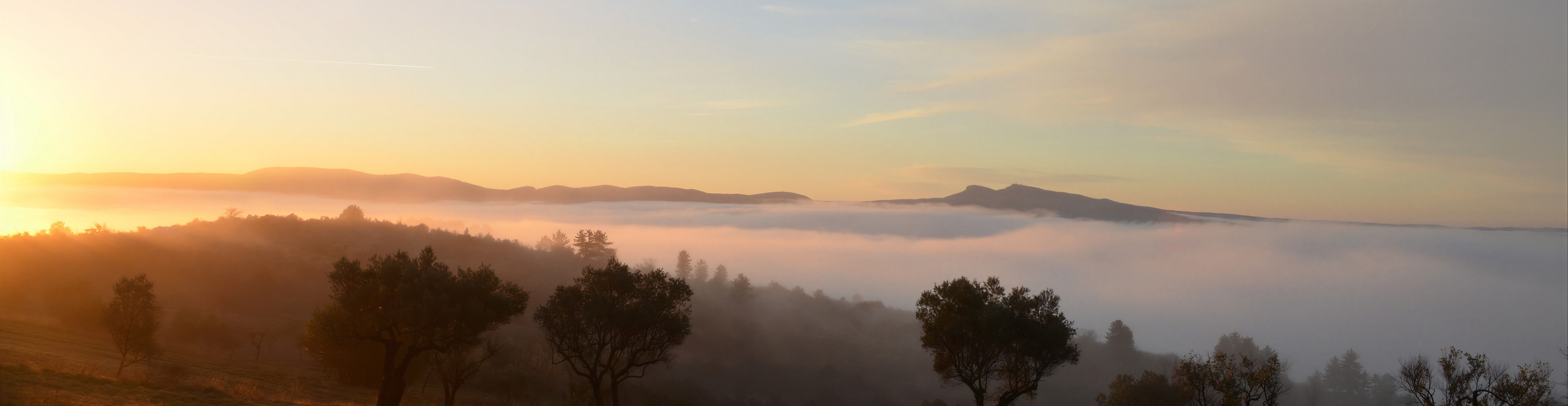 
        <div class='title'>
          Morning sun Mount Bouquet Fr LE upscale prime
        </div>
       