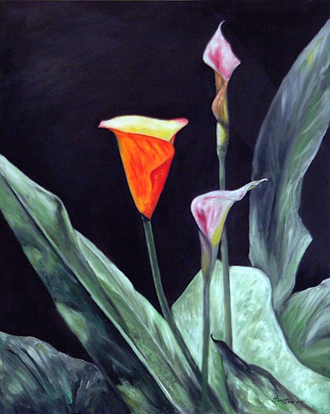 Still Life