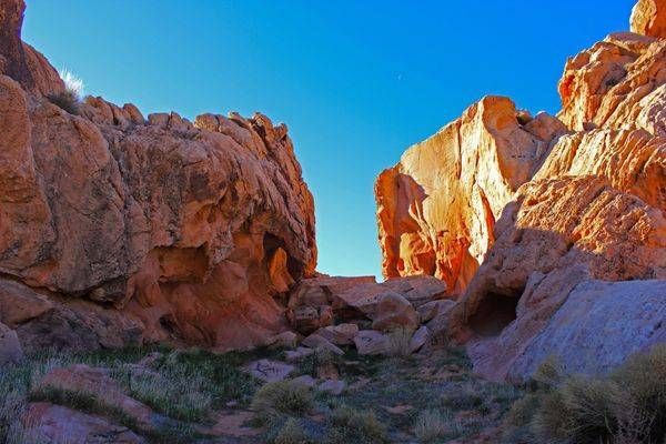 The Devil's Playground